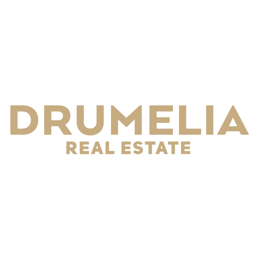 Logotipo de Drumelia 20