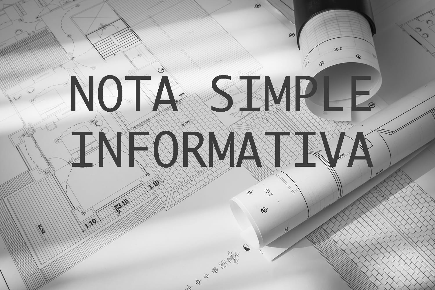 Nota Simple (Nota Simple Informativa) - Property Registry Filing in ...